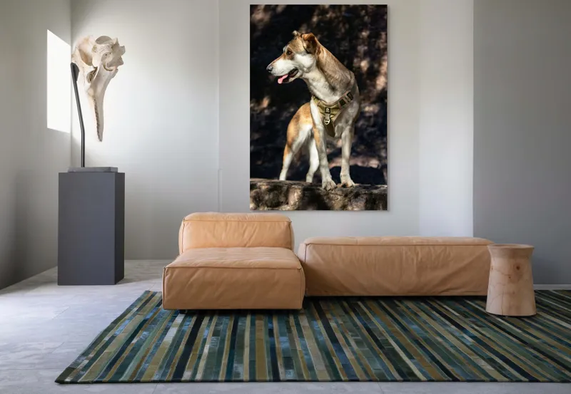 Tablou Canvas, "Câinele vigilenței în pădurea umbrită", 100 x 150 cm – poza 7