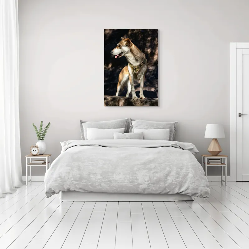 Tablou Canvas, "Câinele vigilenței în pădurea umbrită", 70 x 100 cm – poza 3