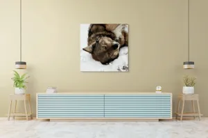 Tablou Canvas, "Vulpe jucăușă în zăpadă albăstruie", 100 x 100 cm – poza 5