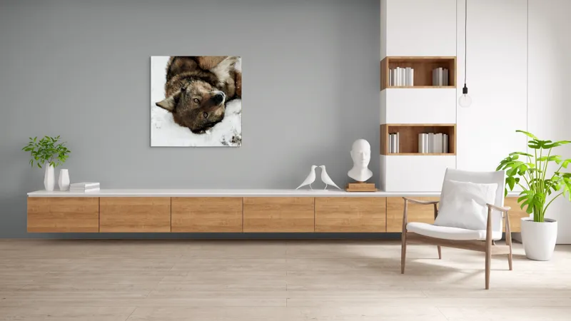 Tablou Canvas, "Vulpe jucăușă în zăpadă albăstruie", 100 x 100 cm – poza 8