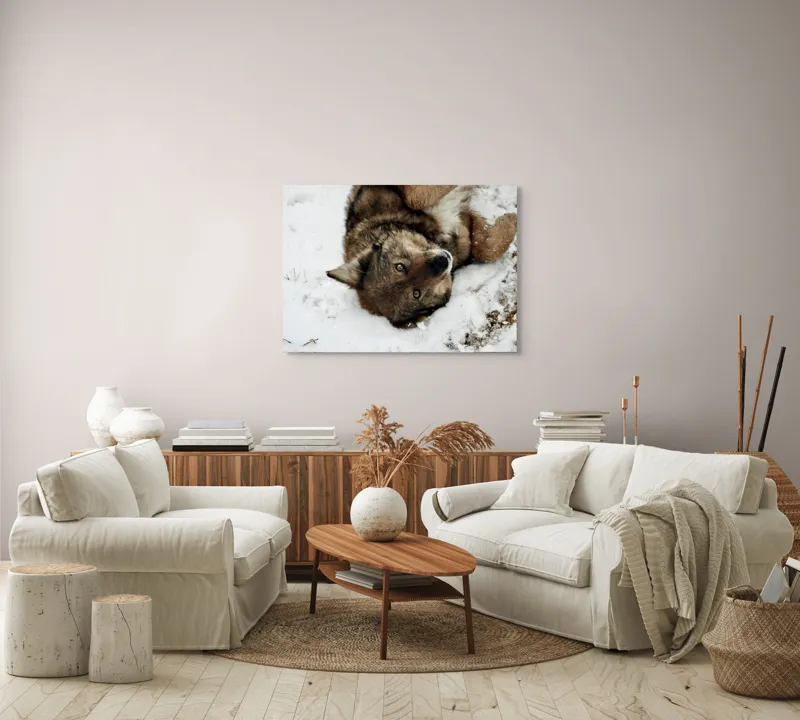 Tablou Canvas, "Vulpe jucăușă în zăpadă albăstruie", 100 x 70 cm – poza 3