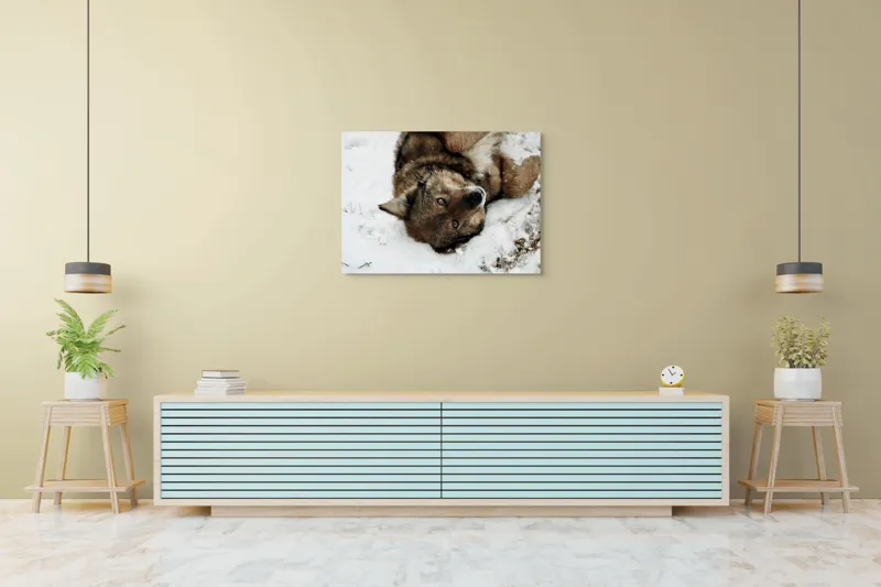 Tablou Canvas, "Vulpe jucăușă în zăpadă albăstruie", 100 x 70 cm – poza 4
