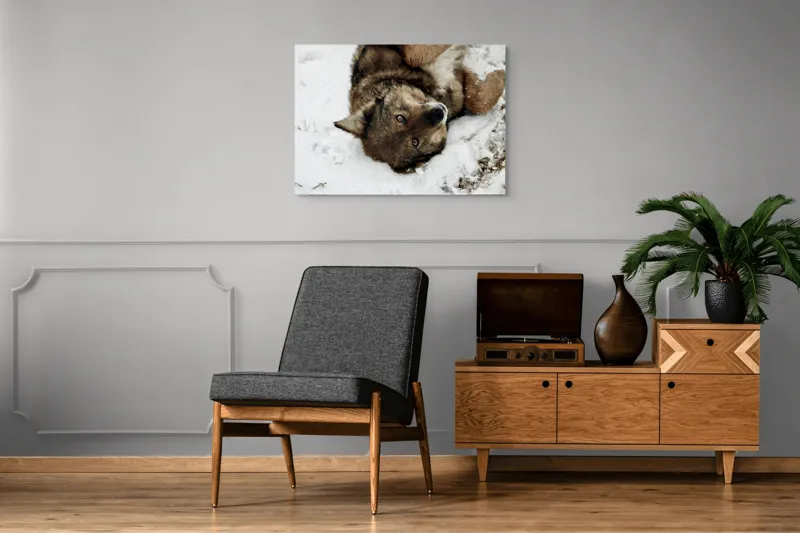 Tablou Canvas, "Vulpe jucăușă în zăpadă albăstruie", 100 x 70 cm – poza 8