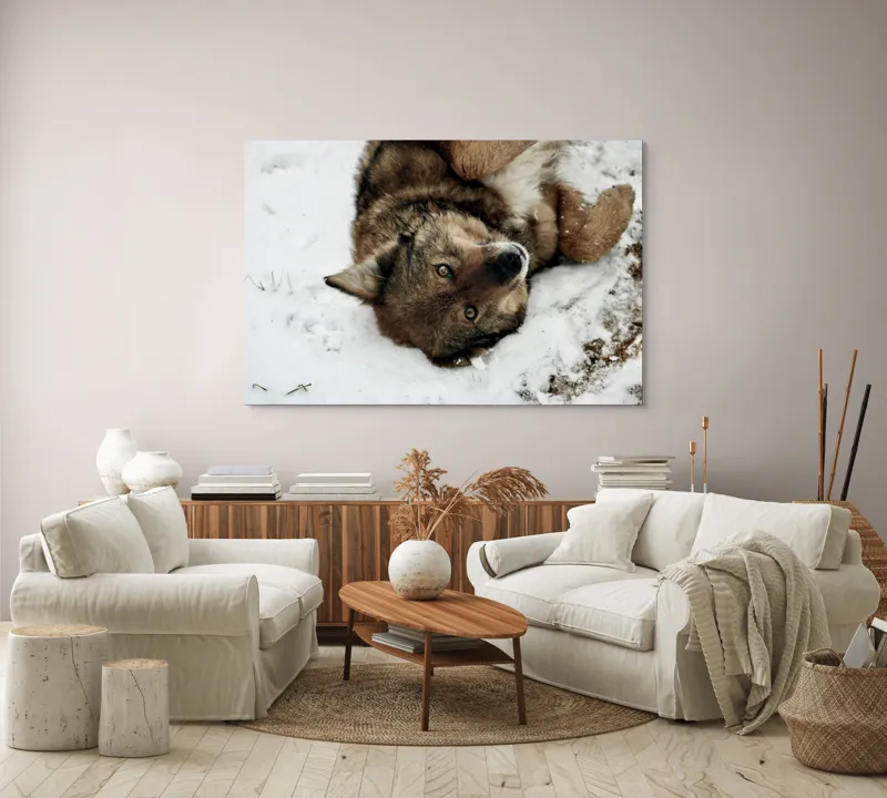 Tablou Canvas, "Vulpe jucăușă în zăpadă albăstruie", 150 x 100 cm – poza 3