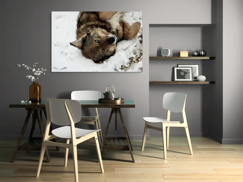 Tablou Canvas, "Vulpe jucăușă în zăpadă albăstruie", 150 x 100 cm – poza 5