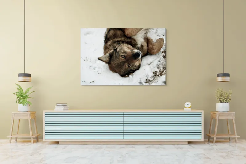 Tablou Canvas, "Vulpe jucăușă în zăpadă albăstruie", 150 x 100 cm – poza 6
