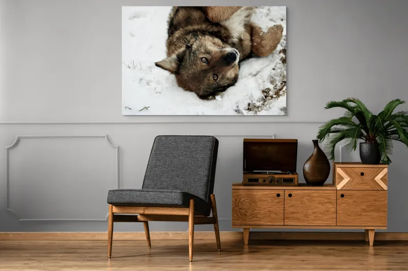 Tablou Canvas, "Vulpe jucăușă în zăpadă albăstruie", 150 x 100 cm – poza 8