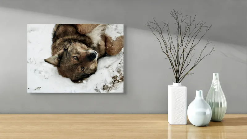 Tablou Canvas, "Vulpe jucăușă în zăpadă albăstruie", 54 x 39 cm – poza 3