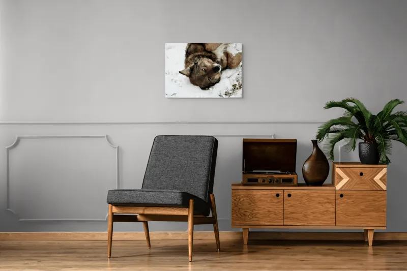 Tablou Canvas, "Vulpe jucăușă în zăpadă albăstruie", 70 x 50 cm – poza 4