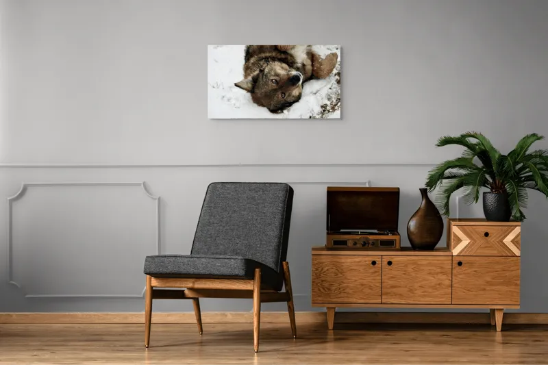 Tablou Canvas, "Vulpe jucăușă în zăpadă albăstruie", 90 x 50 cm – poza 6