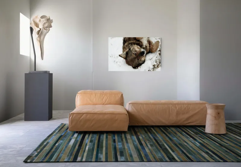 Tablou Canvas, "Vulpe jucăușă în zăpadă albăstruie", 90 x 50 cm – poza 8