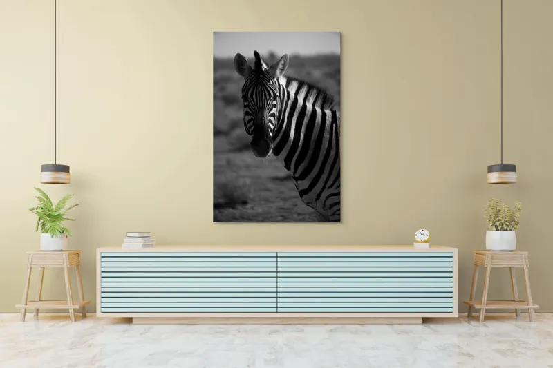 Tablou Canvas, "Zebră în peisaj deșertic africat", Zebră, Dungată, Gracilă, Sălbatică, Contrast, Solitară, Pășunând, Peisaj, Natură, Dramatică, 100 x 150 cm – poza 4