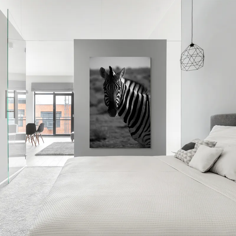 Tablou Canvas, "Zebră în peisaj deșertic africat", Zebră, Dungată, Gracilă, Sălbatică, Contrast, Solitară, Pășunând, Peisaj, Natură, Dramatică, 100 x 150 cm – poza 5