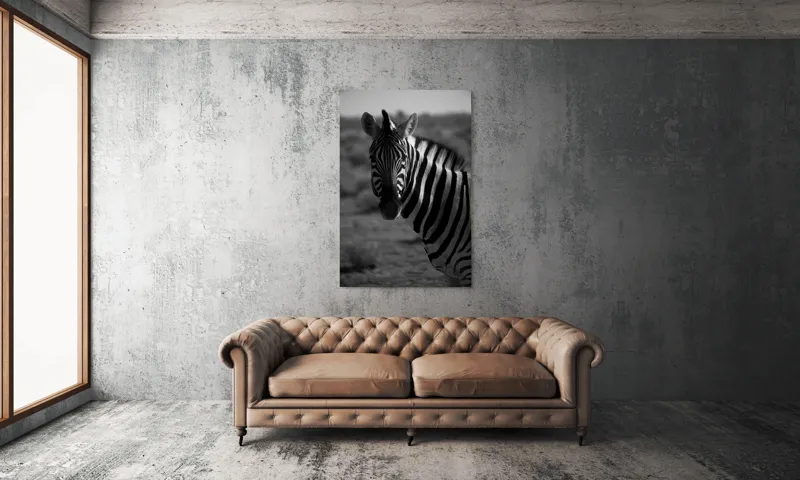 Tablou Canvas, "Zebră în peisaj deșertic africat", Zebră, Dungată, Gracilă, Sălbatică, Contrast, Solitară, Pășunând, Peisaj, Natură, Dramatică, 100 x 150 cm – poza 6