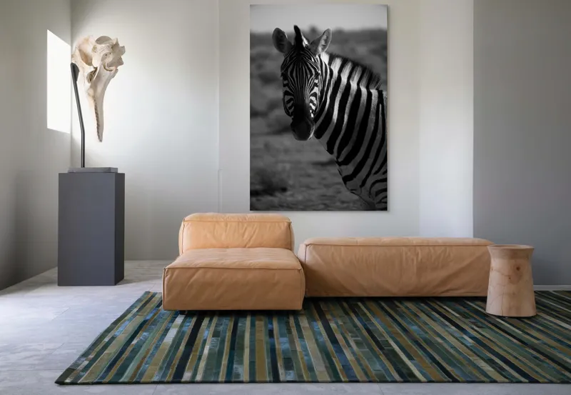Tablou Canvas, "Zebră în peisaj deșertic africat", Zebră, Dungată, Gracilă, Sălbatică, Contrast, Solitară, Pășunând, Peisaj, Natură, Dramatică, 100 x 150 cm – poza 7