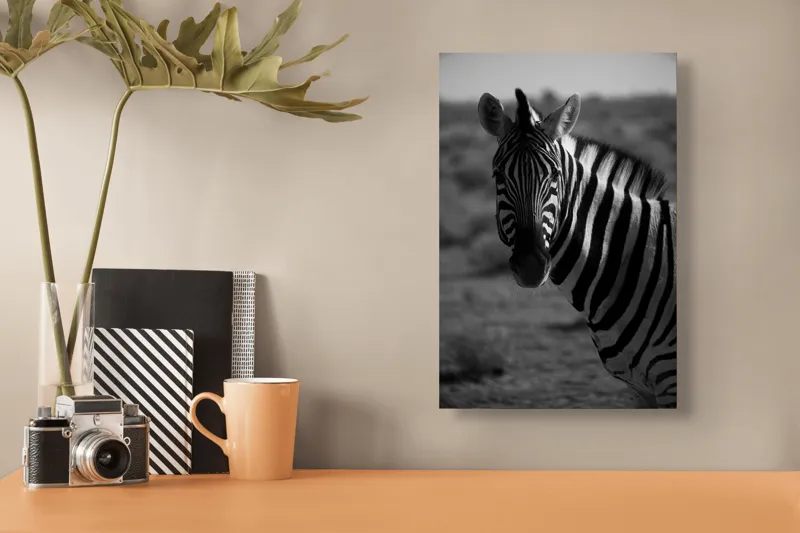 Tablou Canvas, "Zebră în peisaj deșertic africat", Zebră, Dungată, Gracilă, Sălbatică, Contrast, Solitară, Pășunând, Peisaj, Natură, Dramatică, 26 x 39 cm – poza 3