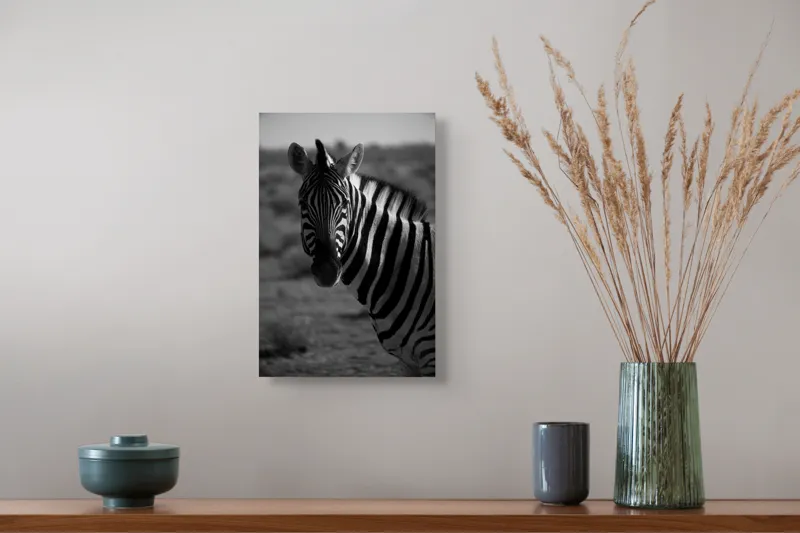 Tablou Canvas, "Zebră în peisaj deșertic africat", Zebră, Dungată, Gracilă, Sălbatică, Contrast, Solitară, Pășunând, Peisaj, Natură, Dramatică, 26 x 39 cm – poza 5