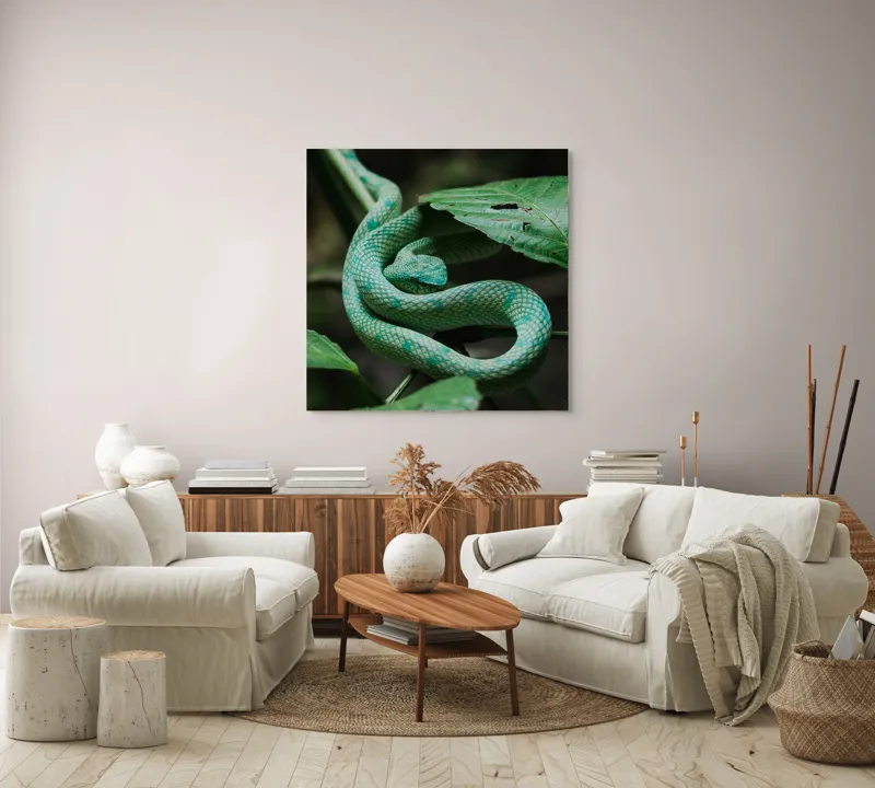 Tablou Canvas, "Șarpele verde în jungla deasă", Verde, Șarpe, Frunze, Natură, Textură, Cambodgean, Exotism, Reptilă, 100 x 100 cm – poza 3