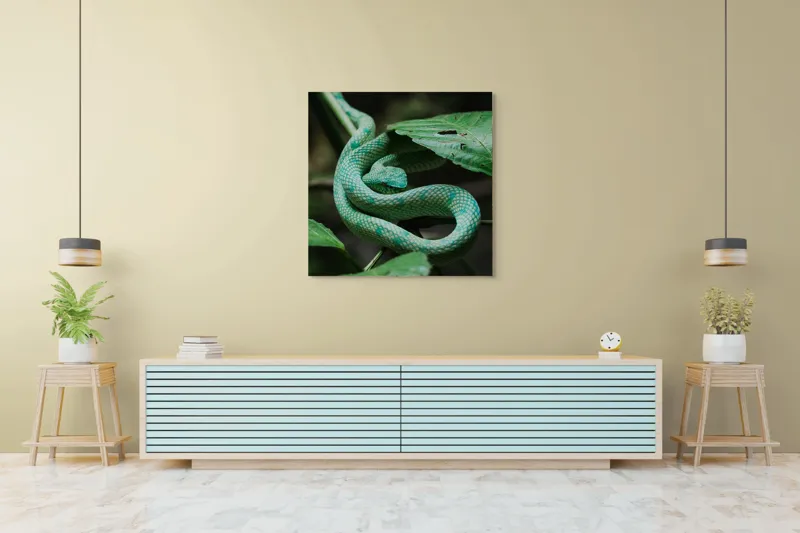 Tablou Canvas, "Șarpele verde în jungla deasă", Verde, Șarpe, Frunze, Natură, Textură, Cambodgean, Exotism, Reptilă, 100 x 100 cm – poza 5
