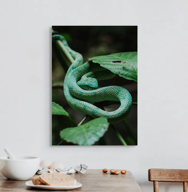 Tablou Canvas, "Șarpele verde în jungla deasă", Verde, Șarpe, Frunze, Natură, Textură, Cambodgean, Exotism, Reptilă, 50 x 70 cm – poza 3
