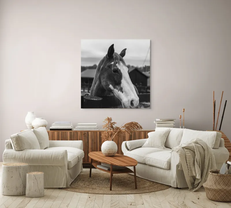 Tablou Canvas, "Calul în așteptarea libertății", 100 x 100 cm – poza 3