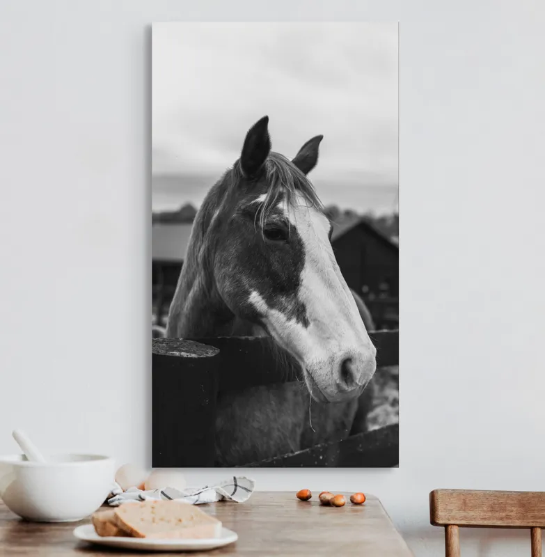 Tablou Canvas, "Calul în așteptarea libertății", 50 x 90 cm – poza 3