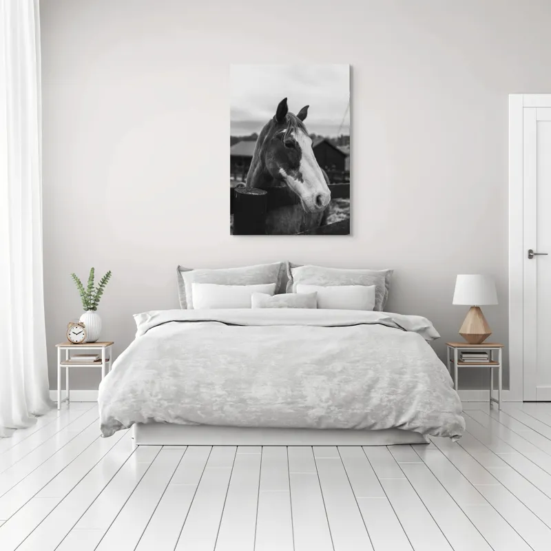 Tablou Canvas, "Calul în așteptarea libertății", 70 x 100 cm – poza 3