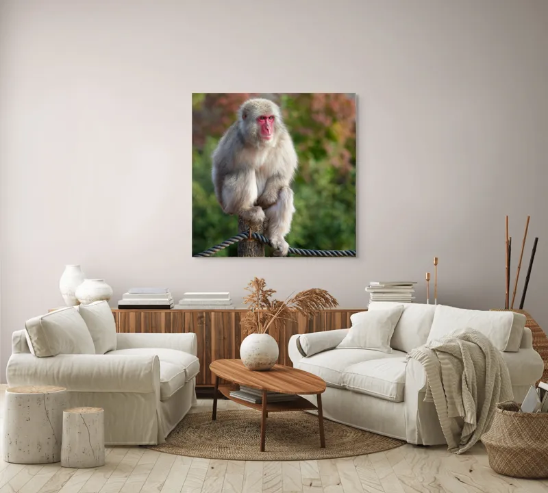 Tablou Canvas, "Maimuța contemplativă în peisaj de toamnă", Blană, Trunchi, Sârma, Privire, Fundal, Toamnă, Macac, Japonia., 100 x 100 cm – poza 3