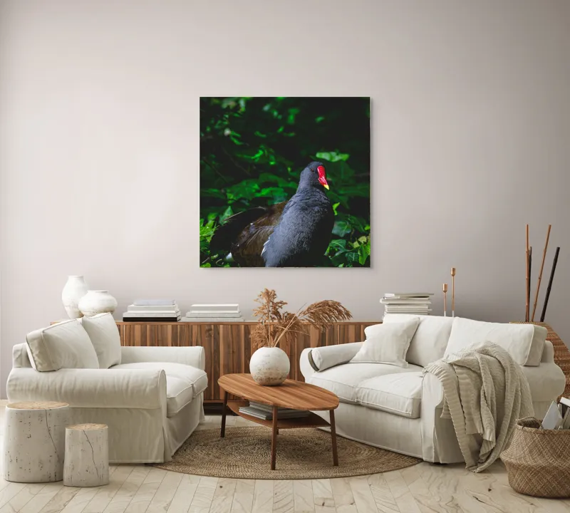 Tablou Canvas, "Pasărea cu cioc roșu în pădure", Pasăre, Natură, Frunze, Verde, Penaj, Roșu, Lumină, Contrast., 100 x 100 cm – poza 3