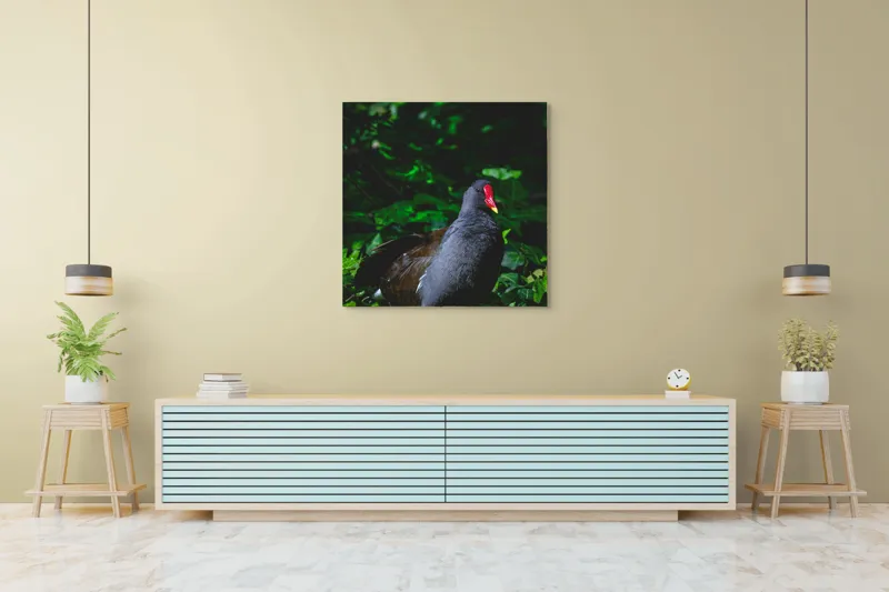 Tablou Canvas, "Pasărea cu cioc roșu în pădure", Pasăre, Natură, Frunze, Verde, Penaj, Roșu, Lumină, Contrast., 100 x 100 cm – poza 5
