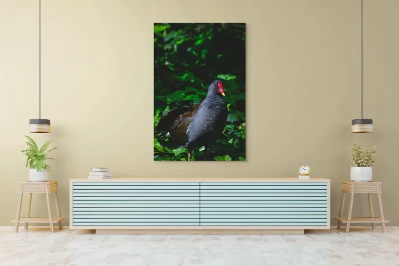 Tablou Canvas, "Pasărea cu cioc roșu în pădure", Pasăre, Natură, Frunze, Verde, Penaj, Roșu, Lumină, Contrast., 100 x 150 cm – poza 4