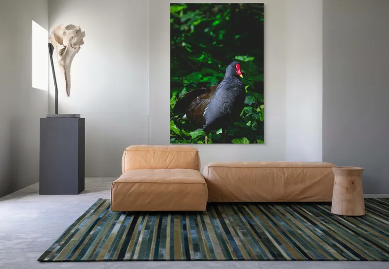 Tablou Canvas, "Pasărea cu cioc roșu în pădure", Pasăre, Natură, Frunze, Verde, Penaj, Roșu, Lumină, Contrast., 100 x 150 cm – poza 7
