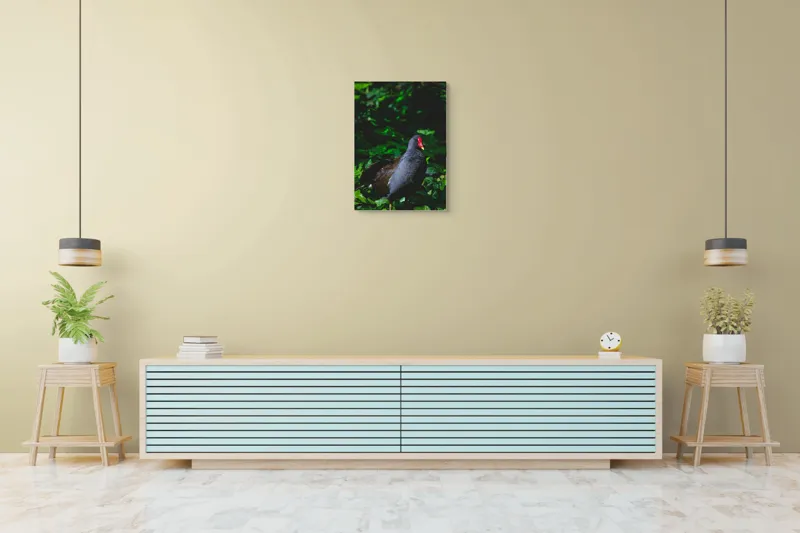 Tablou Canvas, "Pasărea cu cioc roșu în pădure", Pasăre, Natură, Frunze, Verde, Penaj, Roșu, Lumină, Contrast., 50 x 70 cm – poza 6
