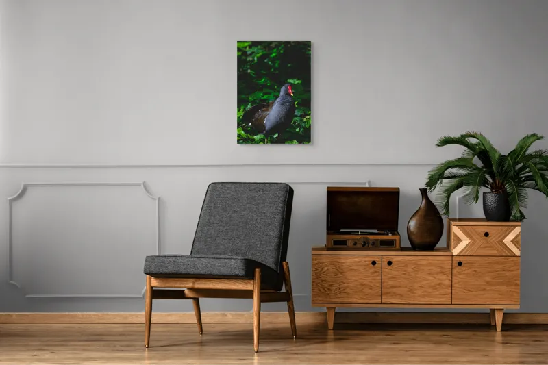 Tablou Canvas, "Pasărea cu cioc roșu în pădure", Pasăre, Natură, Frunze, Verde, Penaj, Roșu, Lumină, Contrast., 50 x 70 cm – poza 8