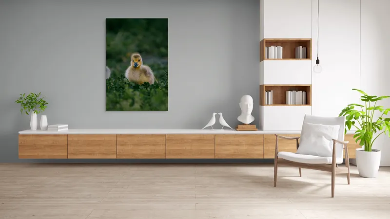 Tablou Canvas, "Pui de gâscă printre ierburi verzi", Pufos, Galben, Mic, Delicat, Verde, Fraged, Blând, Adorabil, 100 x 150 cm – poza 8