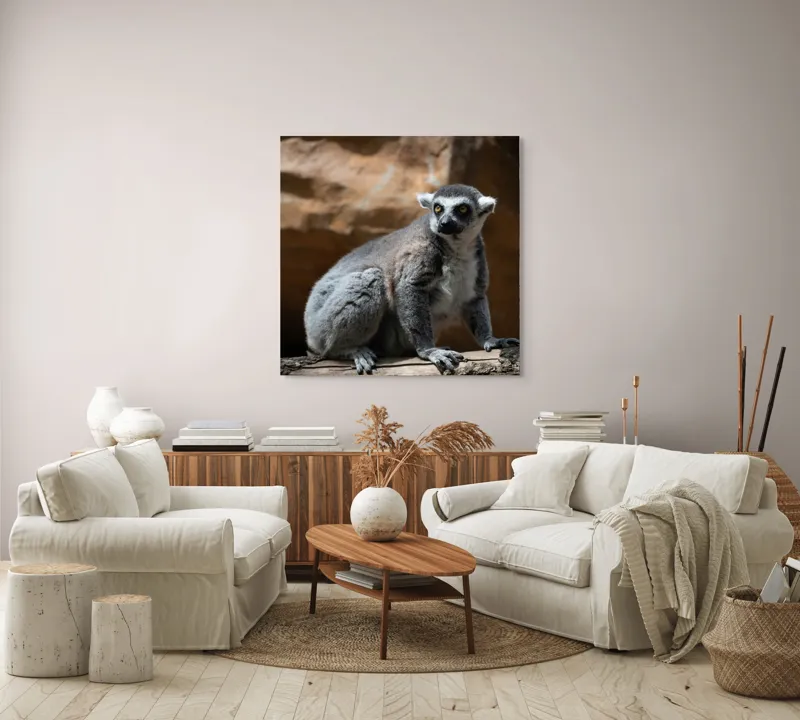 Tablou Canvas, "Lemurul curios în lumina soarelui", 100 x 100 cm – poza 3