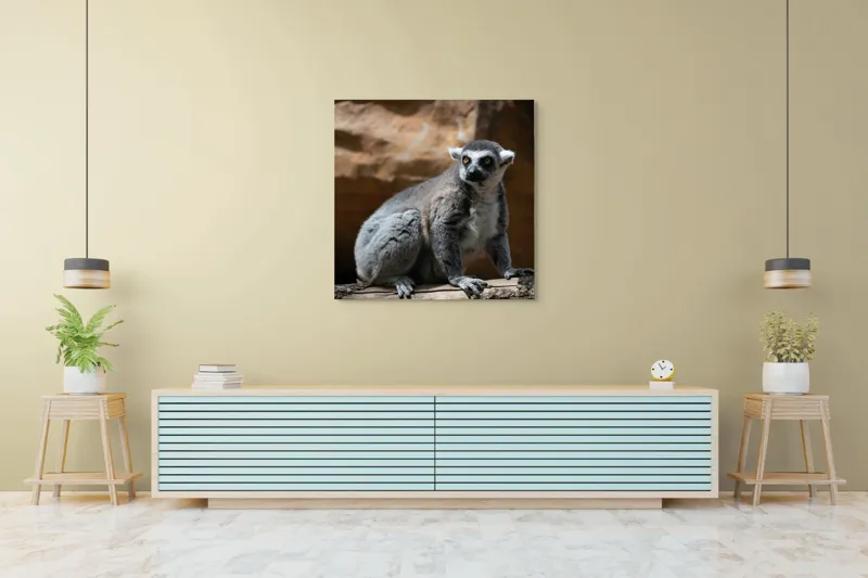 Tablou Canvas, "Lemurul curios în lumina soarelui", 100 x 100 cm – poza 5