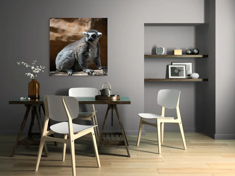 Tablou Canvas, "Lemurul curios în lumina soarelui", 100 x 100 cm – poza 6
