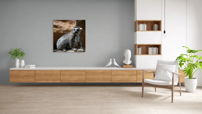 Tablou Canvas, "Lemurul curios în lumina soarelui", 100 x 100 cm – poza 8