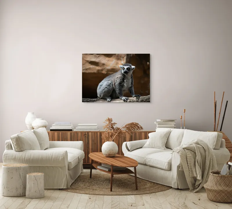 Tablou Canvas, "Lemurul curios în lumina soarelui", 100 x 70 cm – poza 3