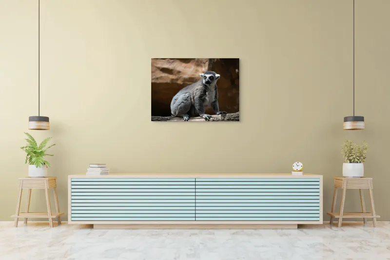 Tablou Canvas, "Lemurul curios în lumina soarelui", 100 x 70 cm – poza 4
