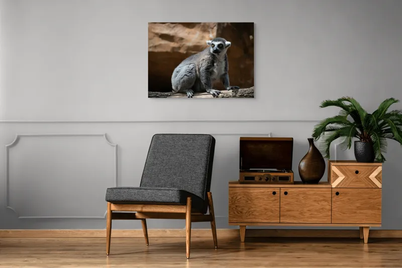Tablou Canvas, "Lemurul curios în lumina soarelui", 100 x 70 cm – poza 8