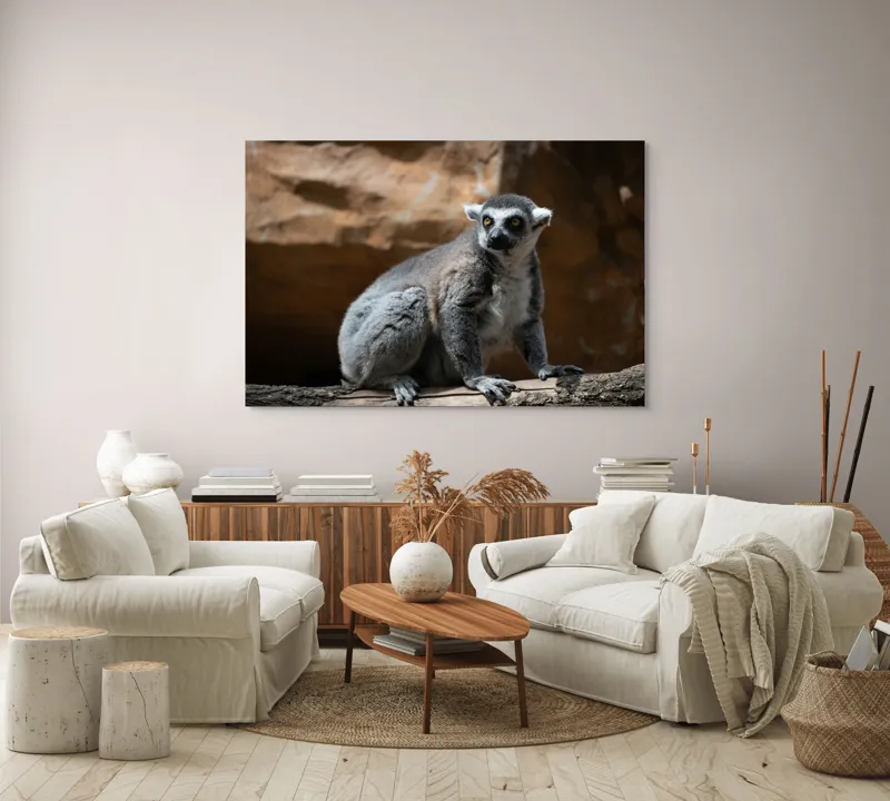 Tablou Canvas, "Lemurul curios în lumina soarelui", 150 x 100 cm – poza 3