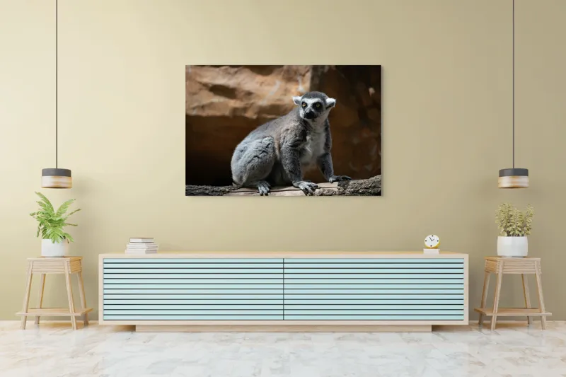 Tablou Canvas, "Lemurul curios în lumina soarelui", 150 x 100 cm – poza 6