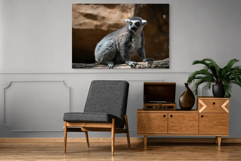 Tablou Canvas, "Lemurul curios în lumina soarelui", 150 x 100 cm – poza 8