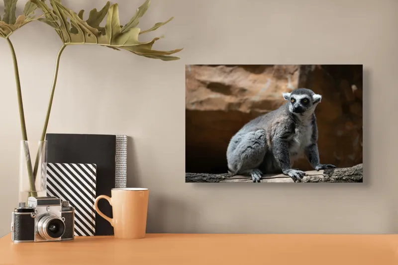 Tablou Canvas, "Lemurul curios în lumina soarelui", 39 x 26 cm – poza 3