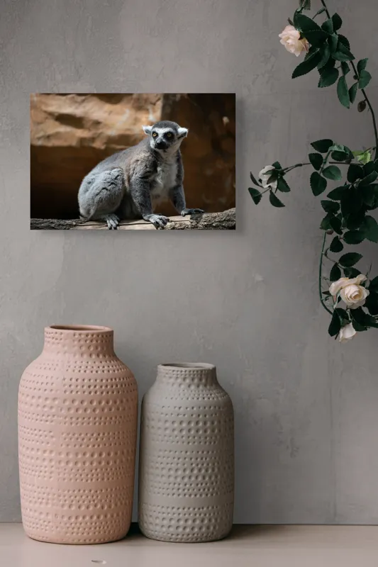 Tablou Canvas, "Lemurul curios în lumina soarelui", 39 x 26 cm – poza 4