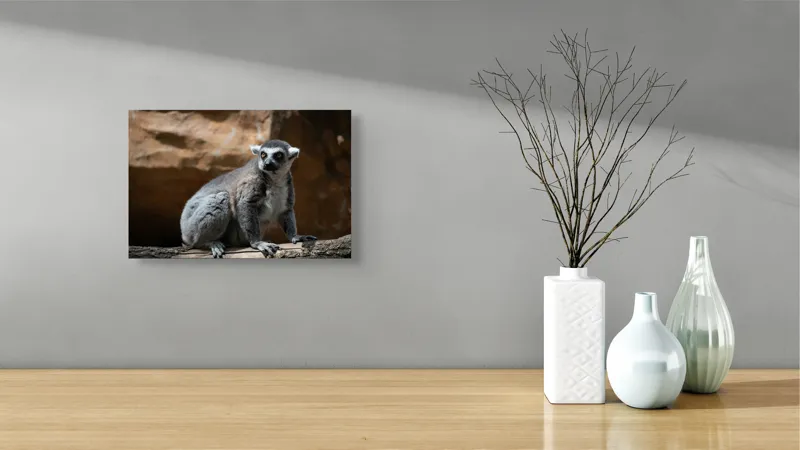 Tablou Canvas, "Lemurul curios în lumina soarelui", 39 x 26 cm – poza 8