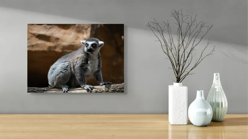 Tablou Canvas, "Lemurul curios în lumina soarelui", 54 x 39 cm – poza 3