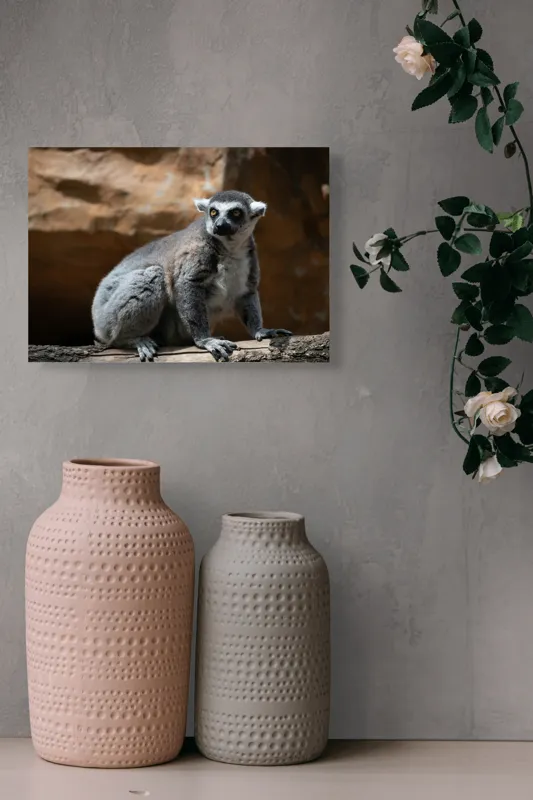Tablou Canvas, "Lemurul curios în lumina soarelui", 54 x 39 cm – poza 8